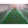 Cricket Practice Net - Size 42 X 8 Feet For Optimal Training Sessions And Skill Development - Durable And Reliable Net For Cricket Enthusiasts. 