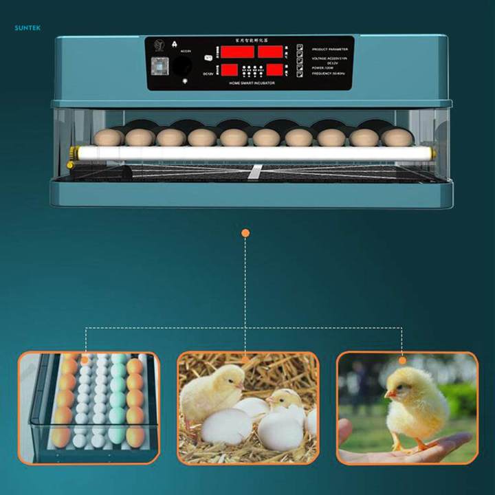 Quail Power Egg with LED Display Egg Hatching Machine for Quail 56 Eggs Single ...
