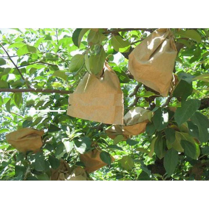Mango paper bag/mango protection bag/fruit protection bags pcs