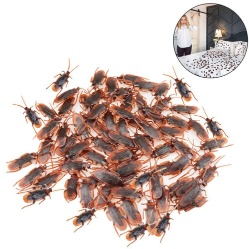 Fake%20Cockroach%20Realistic%20Fake%20Bug%20Lifelike%20Fake%20Cockroach%20Novelty%20Bug%20Halloween%20Prank%20Roach%20Prop%20-%20Image%206