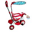 RFL Jim & Jolly Rock Rider Complete 9M - Pink/Blue Tricycle For Baby Kids Light & Music System Prince Cycle Store. 