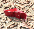 WhiteHat "Reizu" Multifunctional Card Holder and Mini Wallet-Red Wine Color.