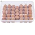 Jadroo High Quality Egg Storage Box. 