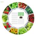 Planting Set Hydroponics Supplies for Growing Piece. 
