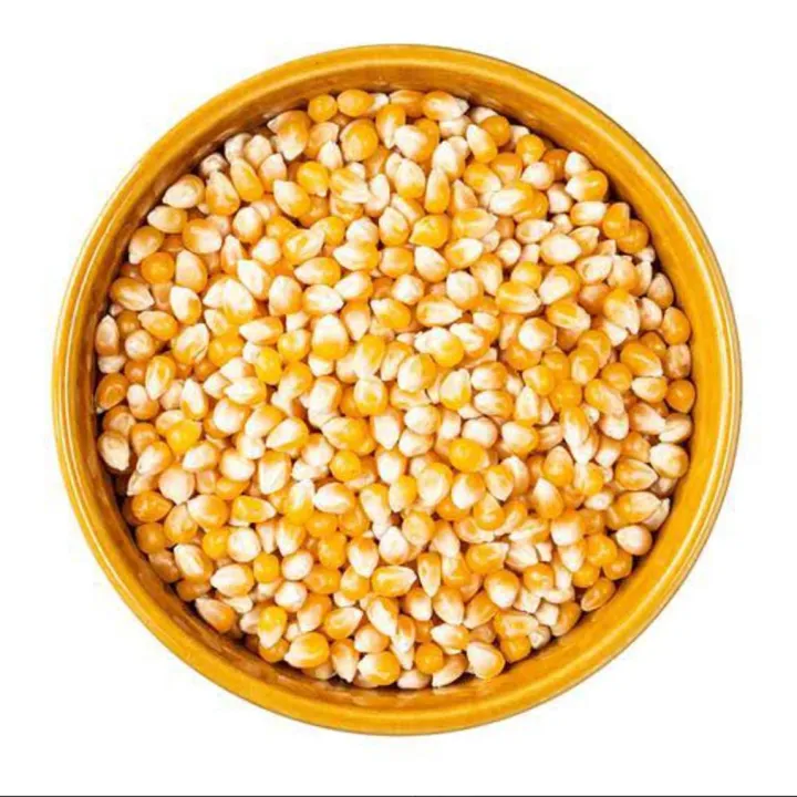 PopCorn%20Bhutta-1Kg%20/%20Raw%20popcorn%20/%20Raw%20vutta/%20Kacha%20Vutta%20-%20Image%202