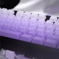 Dye Sublimation Purple Gradient Keycaps Top/Side Engraved PBT Material 125 Keys Cherry Profile For Mechanical Keyboard Keycaps.