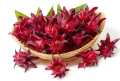 35 pieces of seeds - Chukai or Chukur or Mesta or Sour fruit (Hilfa in Sylhet), which is Rosella in English, Rosella fruit.. 