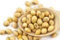 30 Pcs Global Soybean Tree Seeds (?????? ???). 