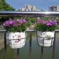 Iron Hanging 8 Inchi Flower Pot Holder Balcony Flower Pot Holder Round Metal Planter for Indoor Outdoor Garden Patio Fence. 