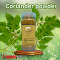 Coriander Powder Spices for Cooking. 
