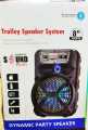 8 inches 1 woofer Speaker with Wired Mic Bluetooth Trolley Speaker.