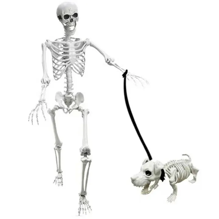 165cm%20Halloween%20Skeleton%20Skeleton%20Decoration%20Lightweight%20Realistic%20Poseable%20Simulated%20Skeleton%20Skeleton%20Full%20Size%20Halloween%20-%20Image%208
