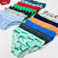 Pack of 10 Pcs Boys Assorted Multicolor Cotton Underwear Briefs With Fantasy Print From Levin. 