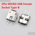 10Pcs- 2Pin MICRO USB Female Socket Type-B 2 Pin Leads Female DIP Type B Power Socket Connector Micro USB Without Cables For Charging Socket LED Light Adapters.