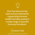 Puritan's Pride Zinc for Acne -100 Tablet. 