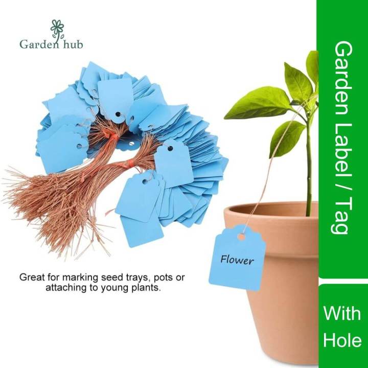 100%20Pcs%20Hanging%20Colorful%20Garden%20Tags%20with%20String,%20Writable%20Marking%20Label,%20Waterproof%20PVC%20Plastic%20Tag%20for%20Plant,%20Flower,%20Tree,%20Bonsai,%20Orchid%20&%20Outdoor%20Gardening,%20Plants%20Name%20Tags%20Labels%20Marker%20Nursery%20&%20Greenhouse%20From%20Green%20Messenger%20(3%20Different%20Size)%20-%20Image%206