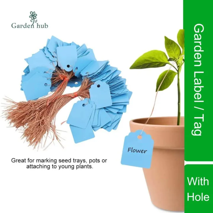 100%20Pcs%20Hanging%20Colorful%20Garden%20Tags%20with%20String,%20Writable%20Marking%20Label,%20Waterproof%20PVC%20Plastic%20Tag%20for%20Plant,%20Flower,%20Tree,%20Bonsai,%20Orchid%20&%20Outdoor%20Gardening,%20Plants%20Name%20Tags%20Labels%20Marker%20Nursery%20&%20Greenhouse%20From%20Green%20Messenger%20(3%20Different%20Size)%20-%20Image%206