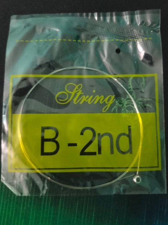 Loose%20Strings%20of%20Acoustic%20Guitar%20-%20Image%202