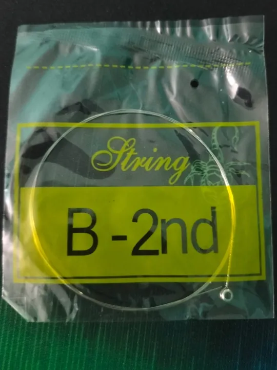 Loose%20Strings%20of%20Acoustic%20Guitar%20-%20Image%202