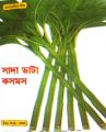 Green Amaranth (ডাটা শাক)- Wt 10 Gram Seed.