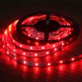 5M 2835 RGB LED Strip Light 300 LEDs DC 12V Red Green Blue Warm White Cool White Flexible SMD 2835 LED Diode Ribbon Tape Lamp. 