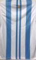 Argentina Copa America Concept Jersey 2024 ( 3 Star )Half Sleeve With Embroidery - Both Side Print.