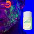(New)Vit Fox Luminou Powder Durable Glow in The Dark Luminou Paint Bright Pigment.