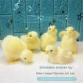 Realistic Chick Decoration Furry Animal Doll Simulation Sound Chicken Soft Plush Toy Easter DIY Miniature Chicken Toys For Kids. 