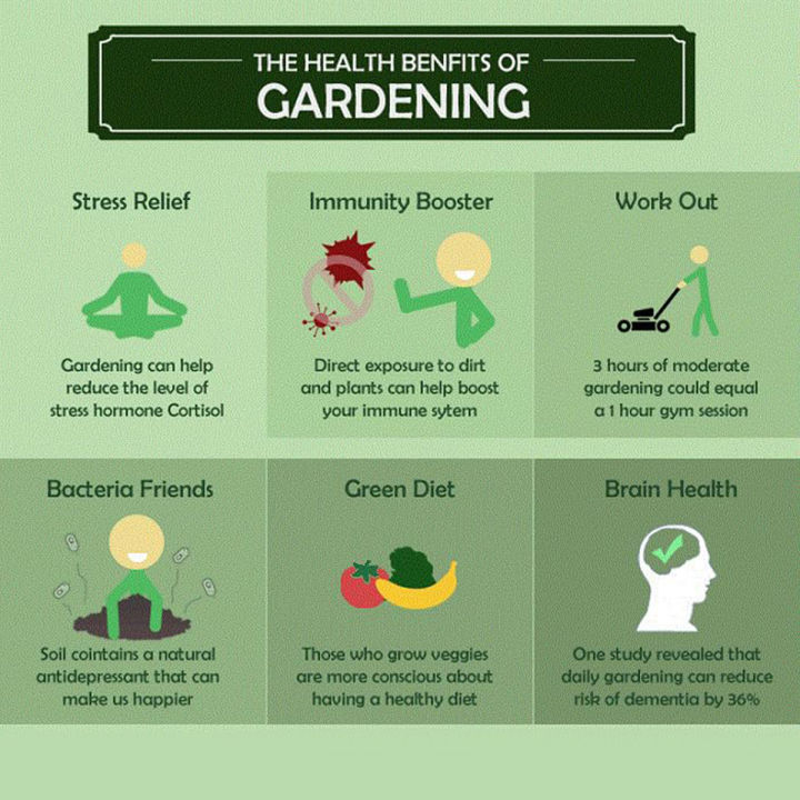 Red%20Strawberry%20Imported%20Global%20Seeds%20-30%20pcs%20Seeds%20-%20Image%208