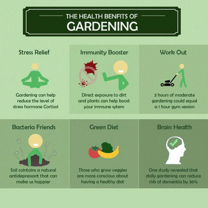 Red%20Strawberry%20Imported%20Global%20Seeds%20-30%20pcs%20Seeds%20-%20Image%208