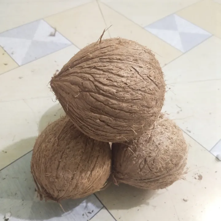 Dry%20Coconut%20Seed%201%20peices%20800gm-1000gm%20Big%20size%20-%20Image%203