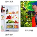 Thickened Disposable Transparent Plastic Fruit Container Strawberry Box Fruit and Vegetable Box Fruit Cutting Packing Box Tray to-Go Box without Lid. 