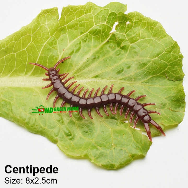 10%20pcs%20x%20Mixed%20Simulation%20Insect%20Toy%20Plastic%20Ant%20Centipede%20scorpion%20Fly%20Spider%20Prank%20Funny%20Toys%20-%20Image%205