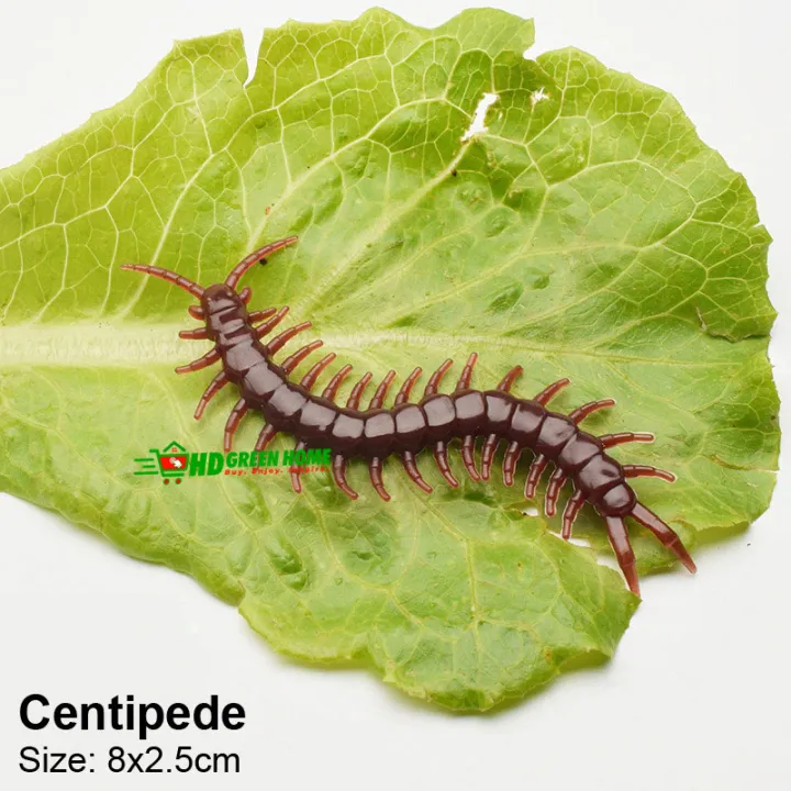 10%20pcs%20x%20Mixed%20Simulation%20Insect%20Toy%20Plastic%20Ant%20Centipede%20scorpion%20Fly%20Spider%20Prank%20Funny%20Toys%20-%20Image%205