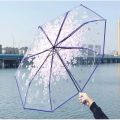 Best Foldable Transparent Chinese Umbrella for Men & Women - 2024 Trend | Ladies Stylish Umbrella for Girls. 