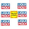 LIQUI MOLY LOGO STICKER FOR BIKES, CARS HELMETS, AND LAPTOPS. 