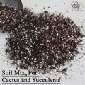 Cactus & Succulent (Organic) Soil Mix 1kg /Indoor Plants & Adenium Soil Mixt. 