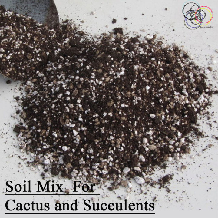 Cactus & Succulent (Organic) Soil Mix 1kg /Indoor Plants & Adenium Soil Mixt