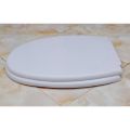 Premium Quality (RAK) High Commode Seat Cover with Fittings. 