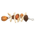 Parrot Chew Toy, Bird Gnawing Toy Natural Corn Leaf and Nut for Home Use. 