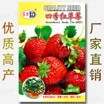 Exceotional%20Quality%20-%20Organic%20Red%20Strawberry%20Seed%20-150%20+%20PC%20Seed%20(imported%20global%20seeds)%20-%20Sustainable%20Option%20-%20To%20Exprerience%20Greatness%20-%20Image%206