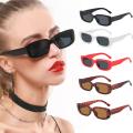 Women's Classic Retro Square Leopard Print Sunglasses / Men's Fashion Rectangular Sunglasses / Vintage Square Sunglasses.