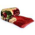 Printed 3D Microfiber Blanket -BL22. 