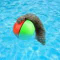 Water Toy Beaver Ball /Beaver Ball -1 pes.