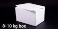Foam box/ice cool box 8-10 kg, most small box for carrying fish/meat/frozen food with random color taping tape.