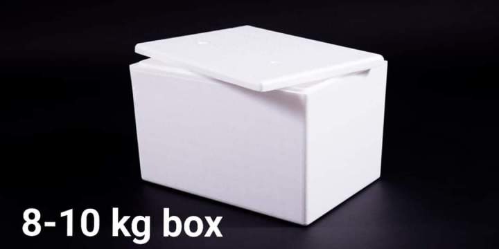 Foam box/ice cool box 8-10 kg, most small box for carrying fish/meat/frozen food with random color taping tape