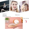 Mini Foldable Hair Brush With Mirror For Women and Girls.