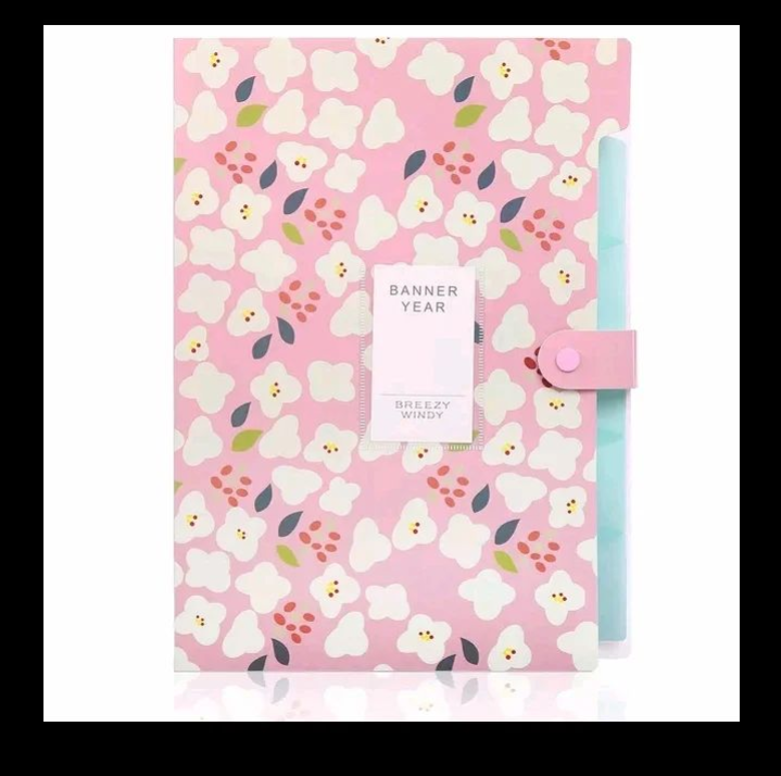 File%20Document%20A4%20size%20Paper%20Holder%20-%20Image%202
