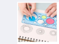 Design ruler/Drawing Box.