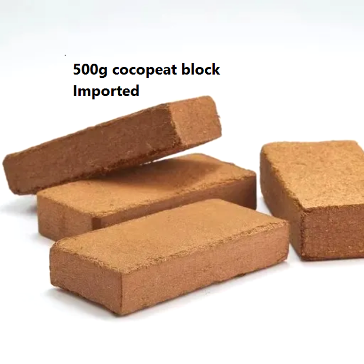 Coco Peat Block 500g Compressed Coco Peat Brick